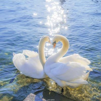 全民彩票下载手机版