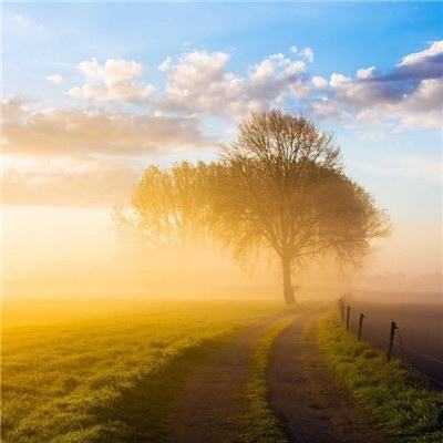 凯时ag旗舰厅截图